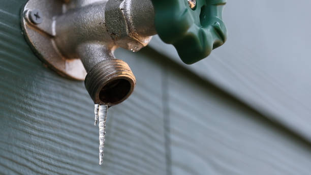Best Local Plumber Services  in Martindale, TX